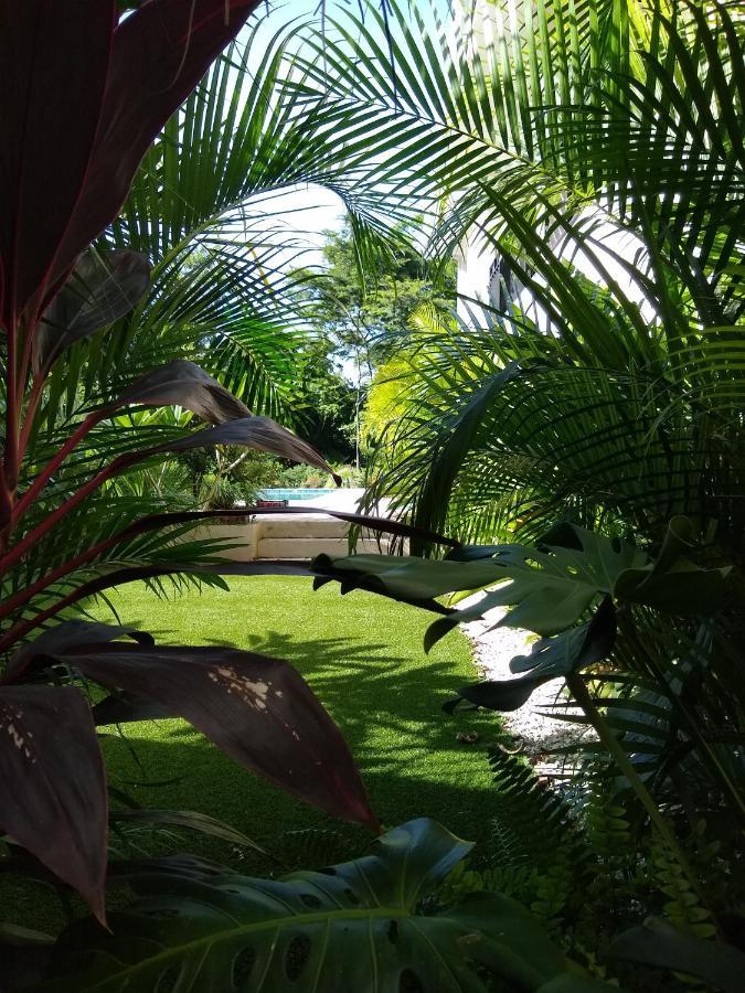 Palm Beach Inn Playa Grande Dış mekan fotoğraf